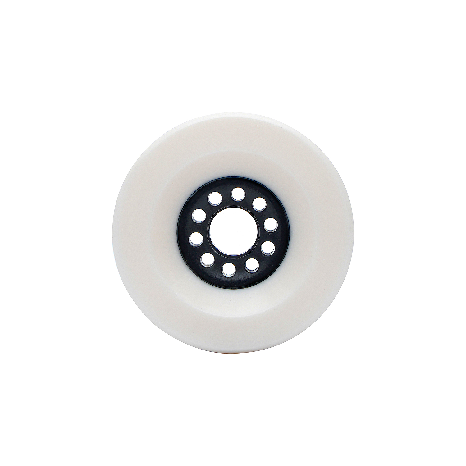 constrictor_white_back